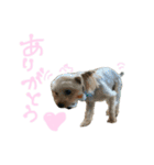 ケン・チビ（個別スタンプ：4）