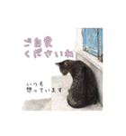 イタリア猫のいたわり言葉（個別スタンプ：17）