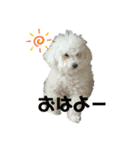 ぼく、ゴロー（個別スタンプ：3）