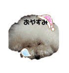 ぼく、ゴロー（個別スタンプ：7）