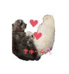 ぼく、ゴロー（個別スタンプ：21）