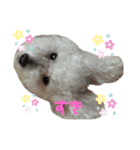 ぼく、ゴロー（個別スタンプ：28）