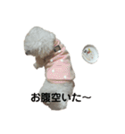 ぼく、ゴロー（個別スタンプ：33）