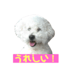 ぼく、ゴロー（個別スタンプ：35）