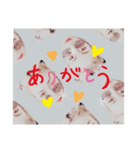 いとうさんちのまなみちゃん（個別スタンプ：3）