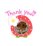 小麦スタンプ(*´ㅈ`*)（個別スタンプ：5）