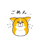 達磨犬スタンプ（個別スタンプ：7）