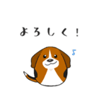 達磨犬スタンプ（個別スタンプ：10）