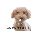 敬語で話すレン（個別スタンプ：6）