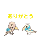 セキセイインコのサンジとラムネ（個別スタンプ：7）