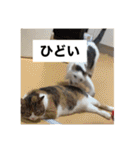 長瀬家のスタンプ2（個別スタンプ：16）