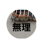 長瀬家のスタンプ2（個別スタンプ：20）