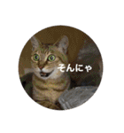 長瀬家のスタンプ2（個別スタンプ：21）