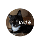 長瀬家のスタンプ2（個別スタンプ：23）