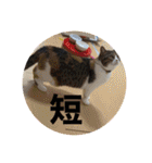 長瀬家のスタンプ2（個別スタンプ：30）