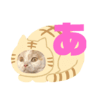 「あ〜ね」まで作ってみた。（個別スタンプ：1）