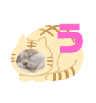「あ〜ね」まで作ってみた。（個別スタンプ：3）