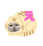 「あ〜ね」まで作ってみた。（個別スタンプ：4）
