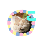 「あ〜ね」まで作ってみた。（個別スタンプ：10）