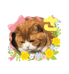 「あ〜ね」まで作ってみた。（個別スタンプ：11）