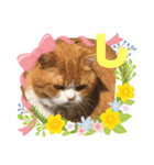 「あ〜ね」まで作ってみた。（個別スタンプ：12）