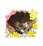 「あ〜ね」まで作ってみた。（個別スタンプ：13）