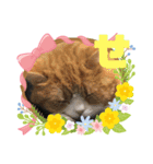 「あ〜ね」まで作ってみた。（個別スタンプ：14）