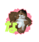 「あ〜ね」まで作ってみた。（個別スタンプ：21）