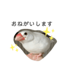 毎日使える❤️(とりバージョン)（個別スタンプ：3）