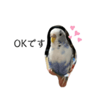 毎日使える❤️(とりバージョン)（個別スタンプ：5）