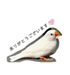 毎日使える❤️(とりバージョン)（個別スタンプ：16）