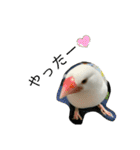 毎日使える❤️(とりバージョン)（個別スタンプ：19）