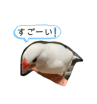 毎日使える❤️(とりバージョン)（個別スタンプ：39）