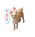「こなつ」の気持ち（個別スタンプ：3）