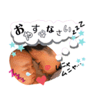 Fun time for To＆M@（個別スタンプ：19）