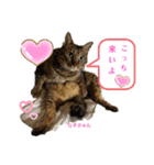 みんなのなすきゅん（個別スタンプ：7）