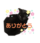 るいずちゃん（個別スタンプ：6）
