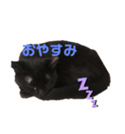 るいずちゃん（個別スタンプ：7）