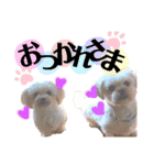 まったり時間（個別スタンプ：4）