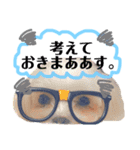 まったり時間（個別スタンプ：5）