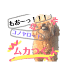 まったり時間（個別スタンプ：6）