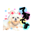 まったり時間（個別スタンプ：8）