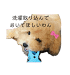 プードルたまにダックス（個別スタンプ：2）