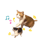 たいようとみたらし（個別スタンプ：13）