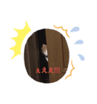 みいたん19（個別スタンプ：1）