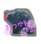 けんしろう、けんけん（個別スタンプ：2）