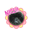 けんしろう、けんけん（個別スタンプ：8）