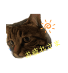愛しのまるくんスタンプ（個別スタンプ：9）