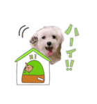 ゆきのスタンプだよ（個別スタンプ：3）