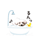 ゆきのスタンプだよ（個別スタンプ：4）